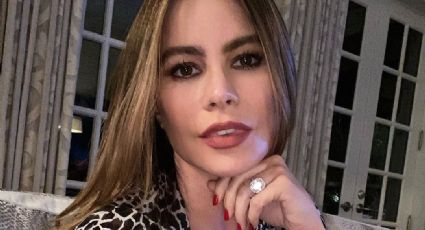 Sofía Vergara toma drástica decisión contra un acosador