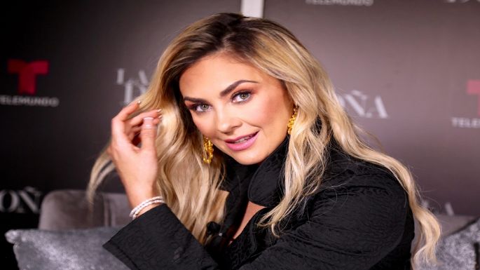 VIDEO: Desesperada, Aracely Arámbula pide ayuda al ser acosada con sus hijos