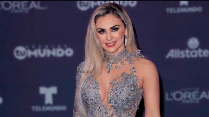 Tras pleito con una reportera, Aracely Arámbula es acusada de robo