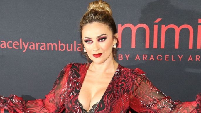 VIDEO: Aracely Arámbula manda esta fuerte indirecta para ¿Luis Miguel?