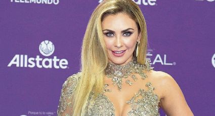 Aracely Arámbula es acusada por sus fans de abusar de los filtros