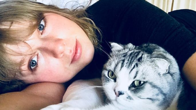 ¡OMG! Taylor Swift aclara por qué está tan obsesionada con los gatos