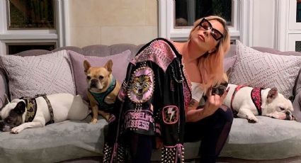 Detienen a 5 personas implicadas en el robo de los perros de Lady Gaga