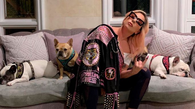 Detienen a 5 personas implicadas en el robo de los perros de Lady Gaga