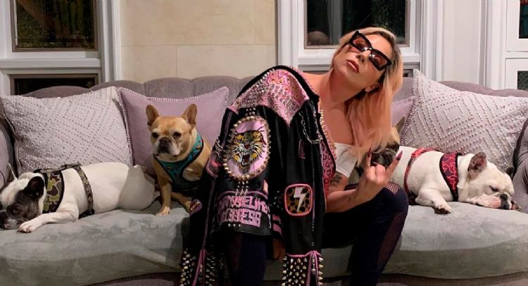 Condenan a 21 años de cárcel a hombre que disparó al paseador de perros de Lady Gaga