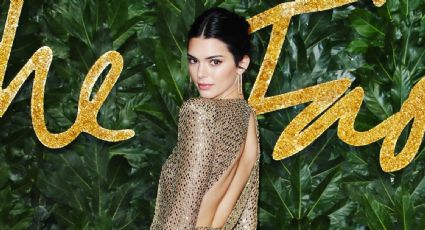 Kendall Jenner muestra su lado altruista donando casas y un hospital a personas de Jalisco