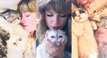 ¡Sorprendente! Este es el gato de Taylor Swift que vale 96 millones de dólares