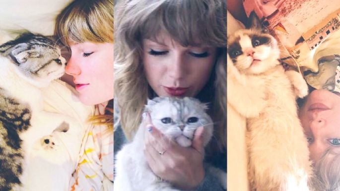 ¡Sorprendente! Este es el gato de Taylor Swift que vale 96 millones de dólares