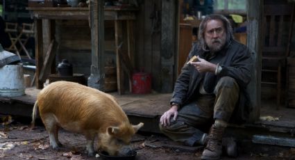 ¡Maravilloso! 'Pig', la nueva película de Nicolas Cage que ya tiene un excelente puntaje