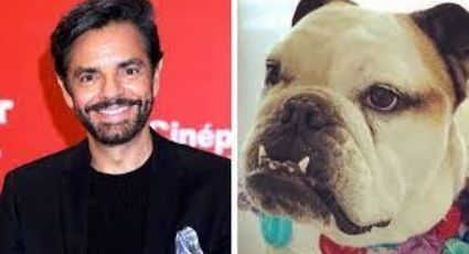 ¡Lamentable! Acusan a Eugenio Derbez de maltrato animal hacía su perrita Fiona