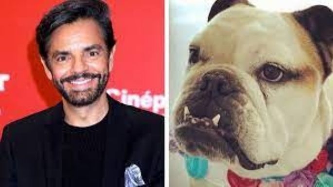 ¡Lamentable! Acusan a Eugenio Derbez de maltrato animal hacía su perrita Fiona