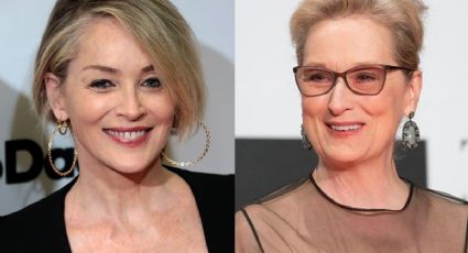 "Hay otras actrices igual de talentosas": Sharon Stone sobre Meryl Streep