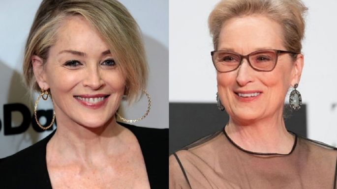 "Hay otras actrices igual de talentosas": Sharon Stone sobre Meryl Streep