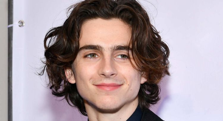 Revelan que Timothée Chalamet cantará durante la película biográfica de Bob Dylan