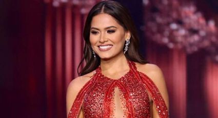 Andrea Meza regresa a las redes y sorprende con increíble disfraz de hada; este es su look