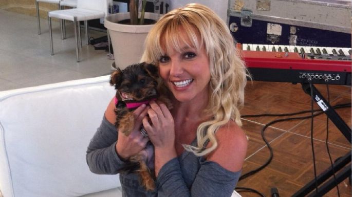 Britney Spears recupera a sus perros luego del problema con su ama de llaves