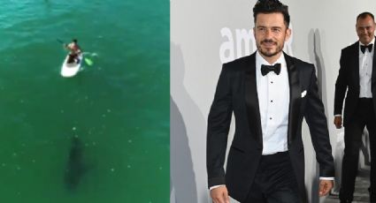 VIDEO: ¿Al borde de la muerte? Orlando Bloom es sorprendido por gran tiburón blanco al surfear