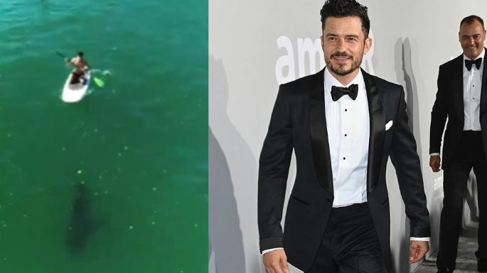 VIDEO: ¿Al borde de la muerte? Orlando Bloom es sorprendido por gran tiburón blanco al surfear