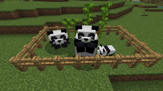 Así es como puedes criar pandas en 'Minecraft'; existen multiples versiones de los animales