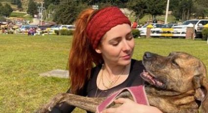 Tunden fuertemente en redes a Ariadne Díaz tras revelar que su perrita fue devorada por un cocodrilo