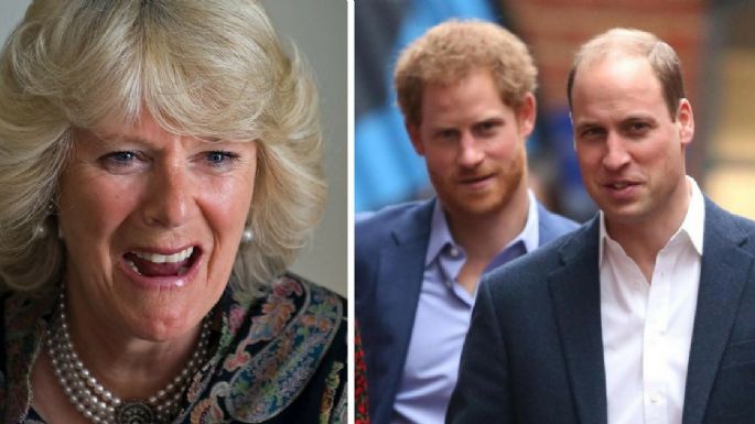 El príncipe William le tiene prohibido a sus hijos que le digan abuela a Camilla Parker