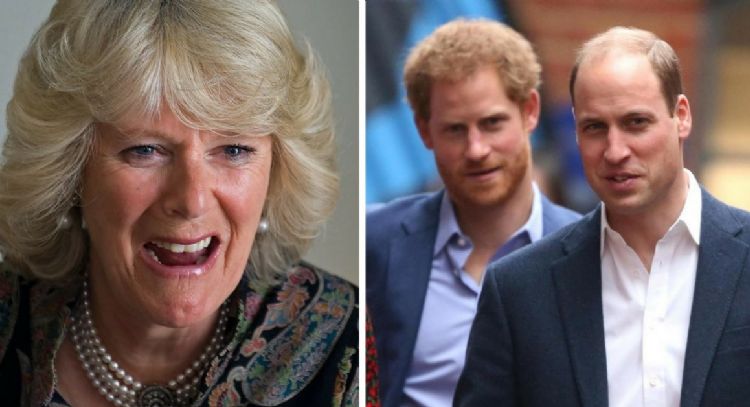 El príncipe William le tiene prohibido a sus hijos que le digan abuela a Camilla Parker
