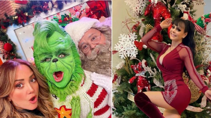La Navidad llegó a la casa de las celebridades y estas son algunas de sus decoraciones