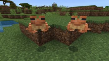 Así es como puedes criar ranas y renacuajos en 'Minecraft'; mira para que sirven estos anfibios