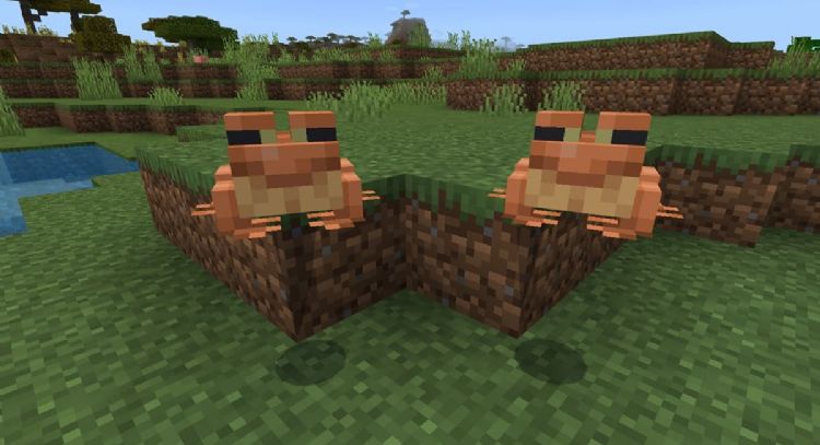 Así es como puedes criar ranas y renacuajos en 'Minecraft'; mira para que sirven estos anfibios