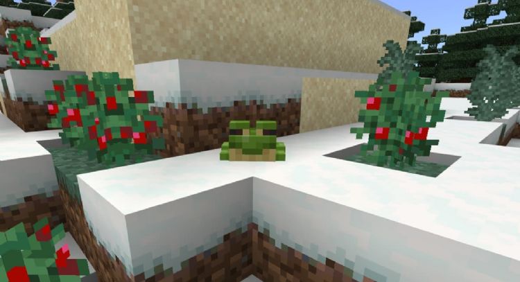 Así es como puedes encontrar y criar a las nuevas ranas en 'Minecraft'; mira todo sobre este detalle