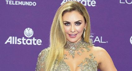 Aracely Arámbula manda conmovedor mensaje a su excuñado, hermano de Luis Miguel