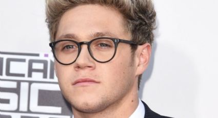 Niall Horan agradece a aerolínea por ayudarlo al ponerse "extremadamente enfermo"