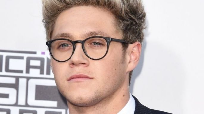 Niall Horan agradece a aerolínea por ayudarlo al ponerse "extremadamente enfermo"