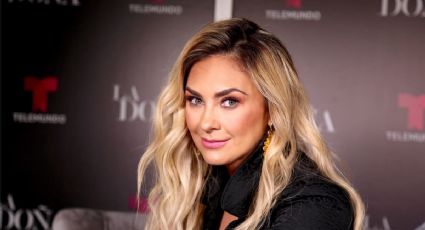 FOTO: Aracely Arámbula roba suspiros vestida de pin-up y luce muy cautivadora