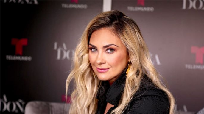 FOTO: Aracely Arámbula roba suspiros vestida de pin-up y luce muy cautivadora