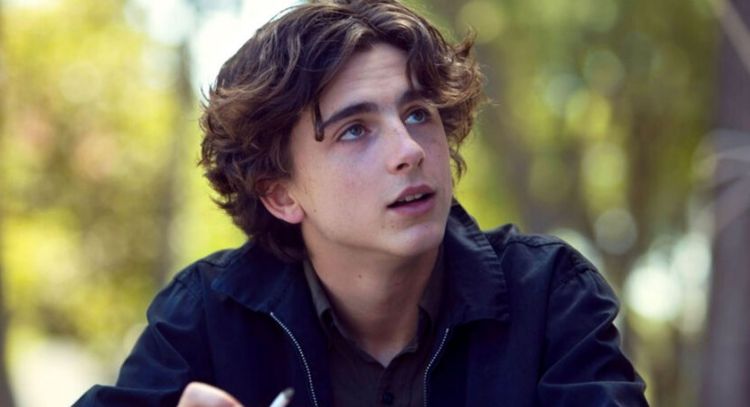 Timothee Chalamet protagonizaría una nueva version de 'El Planeta del Tesoro' en live action