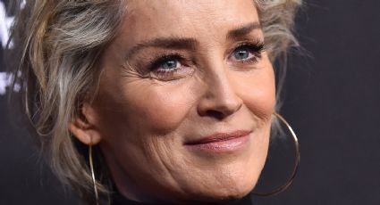 Sharon Stone abandona la película de DC 'Bluee Beetle'; esta famosa actriz sera su reemplazo