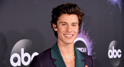 ¡Salva el medio ambiente! Shawn Mendes anuncia iniciativas de sostenibilidad para su gira Wonder