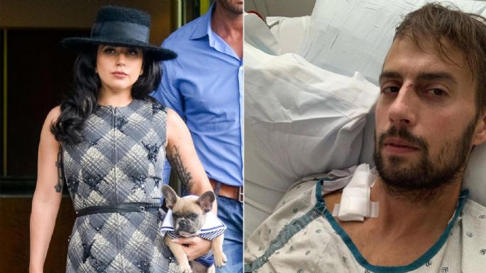 Liberan al hombre que disparó al paseador de perros de Lady Gaga; esta es la indignante razón