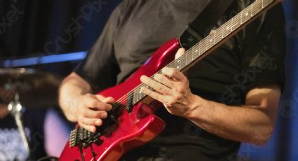 Famoso guitarrista se casa en el escenario minutos después de proponer matrimonio a su novia