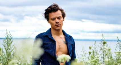 Harry Styles revela cómo le ha ayudado la terapia e impacta a sus fans