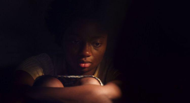 'Arboles de Paz', la nueva película de drama que es tendencia en Netflix y tiene buena calificación
