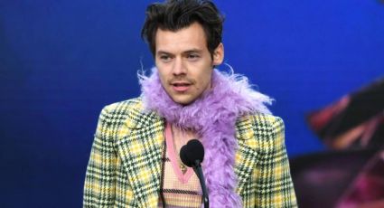 Revelan que Harry Styles estaría calvo y usa peluca: "Tiene un pequeño secreto sucio"