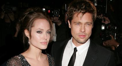 Angelina Jolie gana batalla legal contra Brad Pitt por su bodega francesa