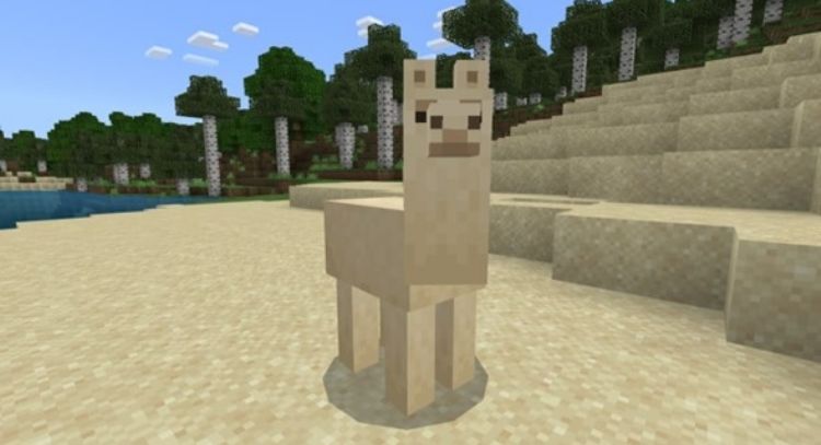 'Minecraft': Mira aquí todo sobre como domar y montar a las llamas del juego de Mojang Studios