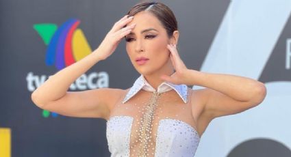 Cynthia Rodríguez comparte tierna fotografía de su apariencia y enamora sus seguidores de Instagram