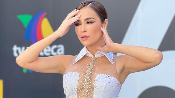 Cynthia Rodríguez comparte tierna fotografía de su apariencia y enamora sus seguidores de Instagram