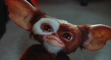 'MultiVersus': 'Gizmo' de la película 'Gremlins' será el nuevo personaje en sumarse al videojuego