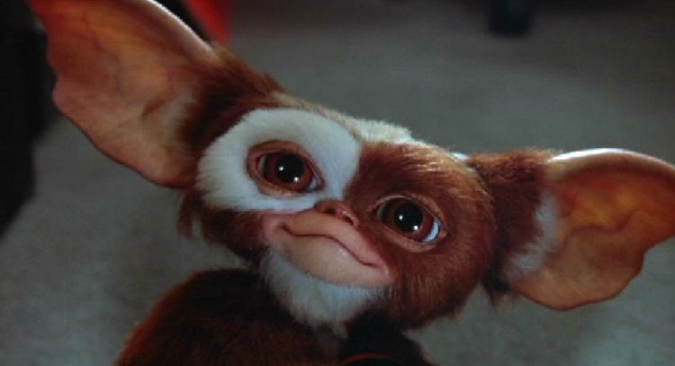 'MultiVersus': 'Gizmo' de la película 'Gremlins' será el nuevo personaje en sumarse al videojuego