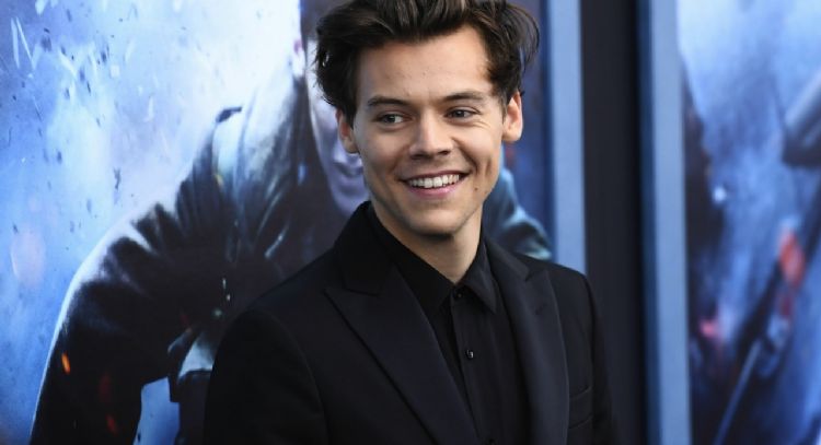 Harry Styles revela que no tiene idea de lo que hace en la actuación
